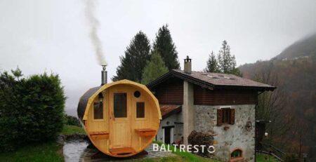 pic Reasons-for-mold-appearance-in-a-barrel-sauna-4